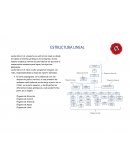 Estructura organizacional Leche Gloria S.A.