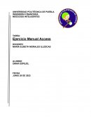 Ejercicio Manual Access