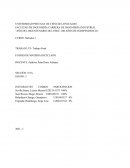 Flores de material reciclado