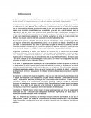 Proceso Administrativo y áreas funcionales