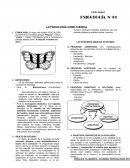 Psicologia como ciencia