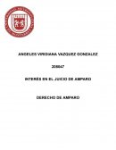 Interés en el Juicio de Amparo