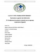 Problemas de salud en relación con el aparato respiratorio (Agudo)