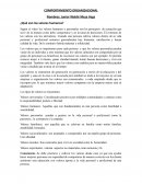 ¿Qué son los valores humanos?