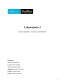 Calor específico: Uso de un calorímetro