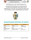 TDR plan de contingencia