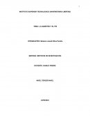 La Diabetes y el pie