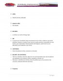 Prácticas del lenguaje 4to grado