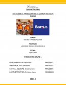 Análisis de la producción de la cerveza cristal de Backus