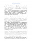 Los Puentes Hidráulicos