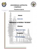 The Bear, Jean-Jacques Annaud