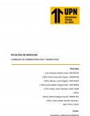 Consultoría y Métricas de Marketing