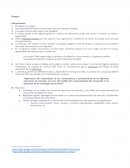 Ensayo Estructura de mercado y análisis