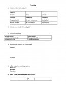 Práctica esquema del diseño