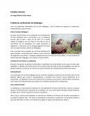 Problemas ambientales de Galápagos