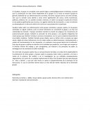 Calles Peñaloza Vanessa Montserrat