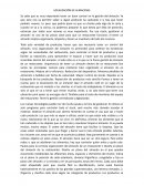 Almacen y distribución de layout