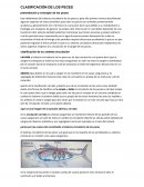 Clasificación de los peces