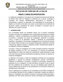 Marco teórico de áreas y líneas de investigación