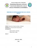 Síndrome de distrés respiratorio en el recién nacido