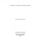 Movilización y traslado de la persona lesionada