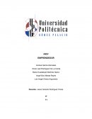 Plan de Negocios. Naturaleza de proyecto