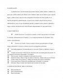 Análisis del proceso administrativo