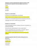 Final resuelto de química