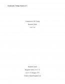 Trabajo Practico n°1 Competencias Alfa Tuning