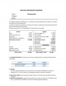 Práctica presupuesto maestro