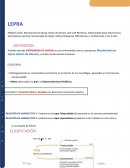 Resumen Joya Dermatología Lepra