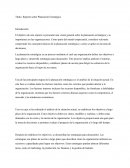 Reporte sobre Planeación Estratégica