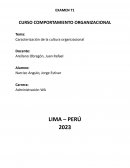 Caracterización de la cultura organizacional