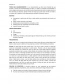 Técnica del amamantamiento