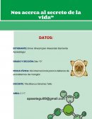 La importancia de la predicción de la estructura de las proteínas mediante inteligencia artificial