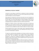 Resumen de la pelicula “Hackers”