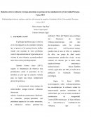 Violencia y baja autoestima