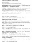 Éxodo narra la salida de los israelitas de Egipto