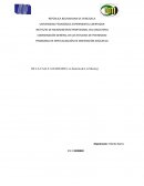 De la calle a Harvard. Analisis