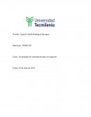 Tecnologías de información para los negocios. Empresa Hule de MTY