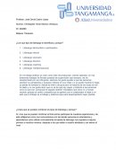 ¿Con que tipo de liderazgo te identificas y porque?