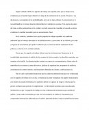 Los papeles de trabajo