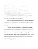 Caso Ricoy S.A Plan d negocios