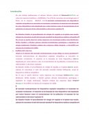 ¿Cuál es el entorno del mercado norteamericano al que dirige su nuevo producto?