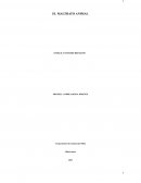 El maltrato animal. Leyes de protección animal