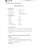 Caso neuropsicológico