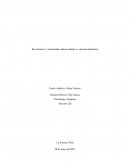 Succession y capitalismo: mirada desde un análisis semiótico