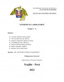 Informe de laboratorio Nª2 - Medición de la viscosidad