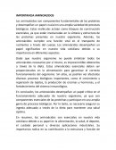 Importancia de los aminoácidos