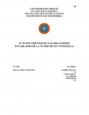 Funcionamiento de los organismos encargados de la nutrición en Venezuela